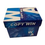 COPY WIN CARTON 
